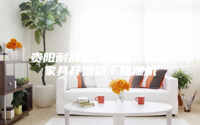 貴陽(yáng)耐高溫除濕機(jī)，木材家具升溫烘干抽濕機(jī)
