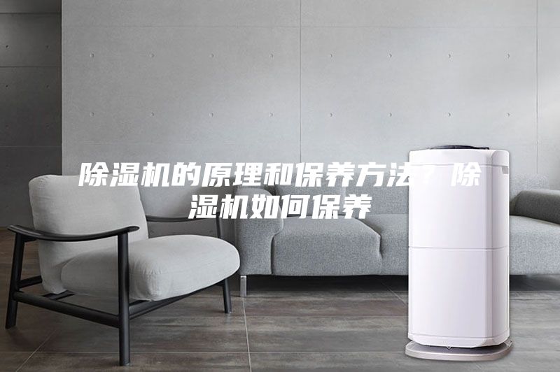 除濕機的原理和保養(yǎng)方法？除濕機如何保養(yǎng)