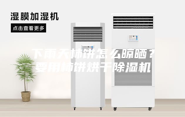 下雨天柿餅怎么晾曬？要用柿餅烘干除濕機