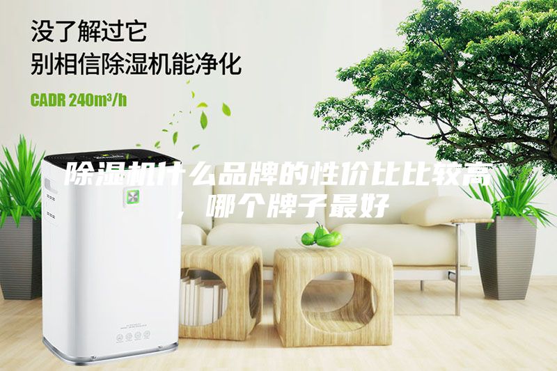 除濕機什么品牌的性價比比較高，哪個牌子最好