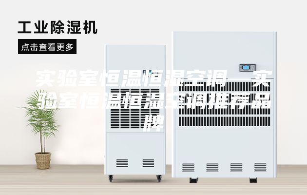 實(shí)驗室恒溫恒濕空調(diào)—實(shí)驗室恒溫恒濕空調(diào)推薦品牌