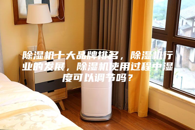 除濕機(jī)十大品牌排名，除濕機(jī)行業(yè)的發(fā)展，除濕機(jī)使用過(guò)程中濕度可以調(diào)節(jié)嗎？