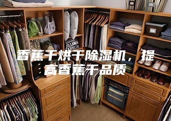 香蕉干烘干除濕機，提高香蕉干品質(zhì)