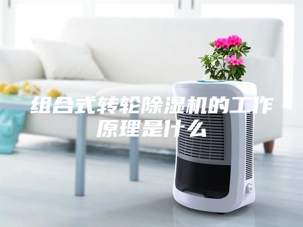 組合式轉(zhuǎn)輪除濕機(jī)的工作原理是什么