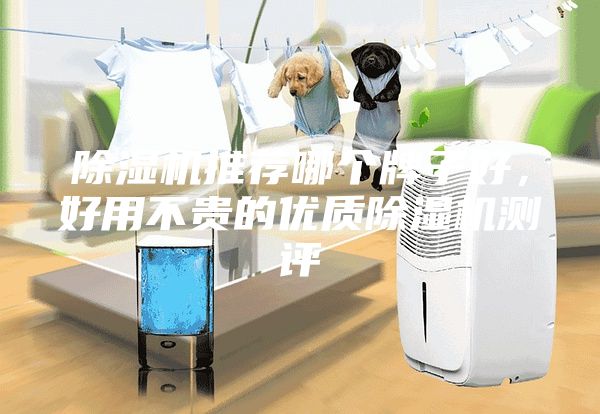 除濕機推薦哪個牌子好，好用不貴的優(yōu)質除濕機測評