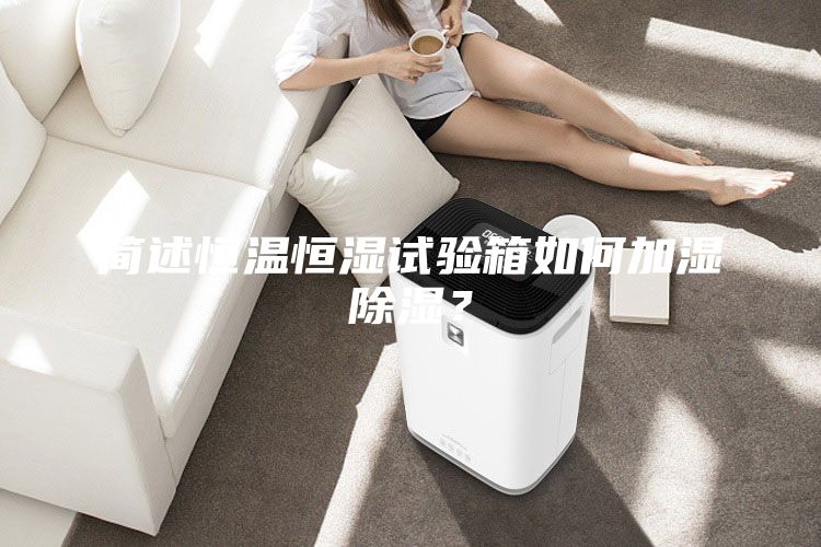 簡述恒溫恒濕試驗(yàn)箱如何加濕除濕？