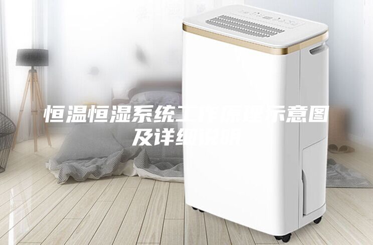 恒溫恒濕系統(tǒng)工作原理示意圖及詳細(xì)說明