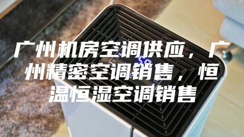 廣州機(jī)房空調(diào)供應(yīng)，廣州精密空調(diào)銷(xiāo)售，恒溫恒濕空調(diào)銷(xiāo)售