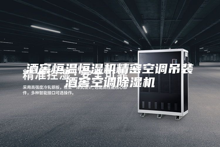 酒窖恒溫恒濕機精密空調(diào)吊裝酒窖空調(diào)除濕機