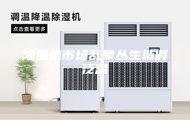 除濕機(jī)市場亂象叢生造假泛濫