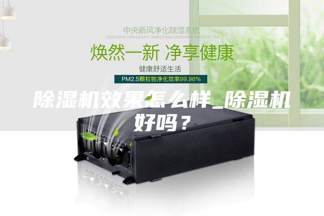 除濕機(jī)效果怎么樣_除濕機(jī)好嗎？
