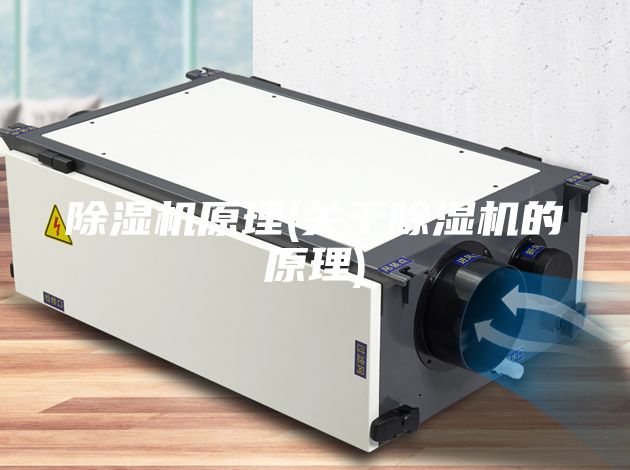 除濕機(jī)原理(關(guān)于除濕機(jī)的原理)