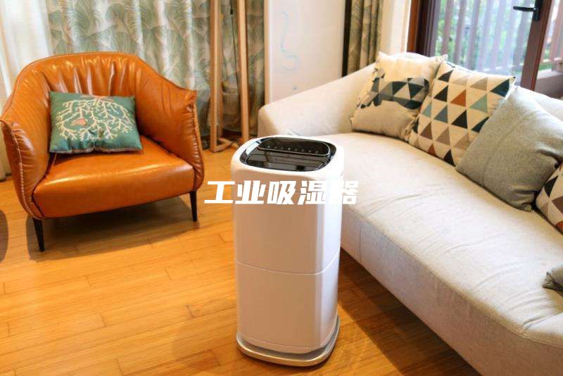 工業(yè)吸濕器