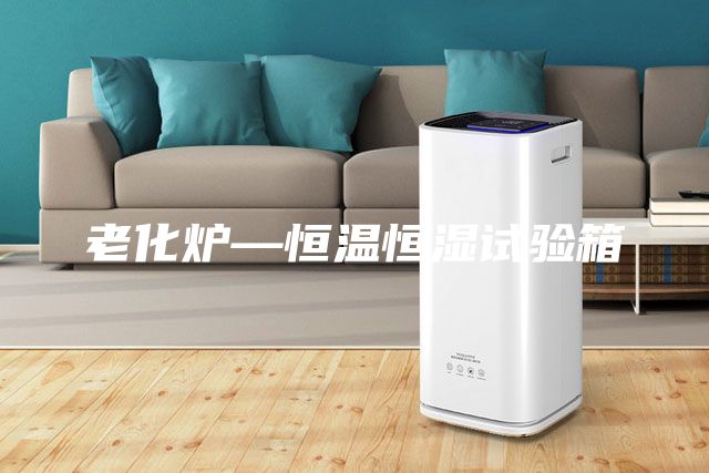 老化爐—恒溫恒濕試驗(yàn)箱