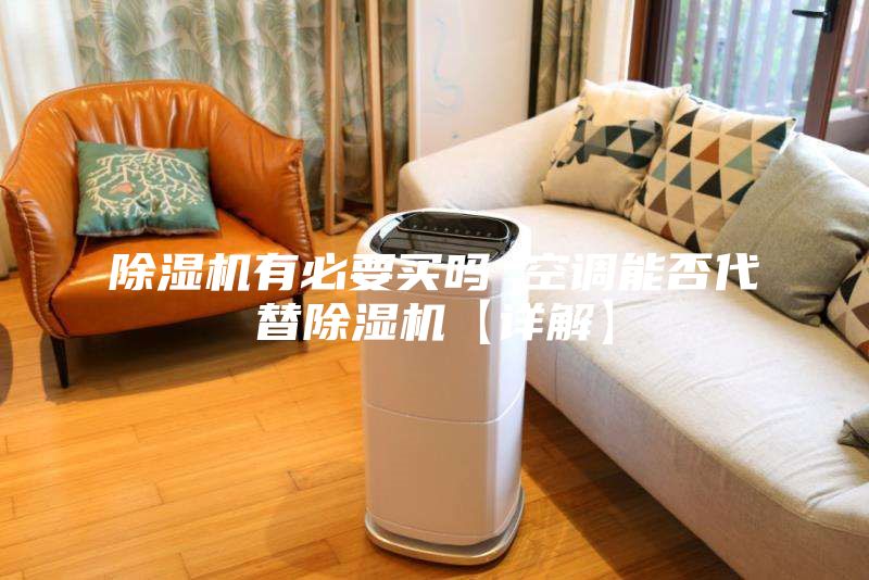 除濕機有必要買嗎 空調能否代替除濕機【詳解】
