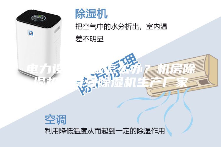 電力設備潮濕怎么辦？機房除濕機安詩曼除濕機生產廠家