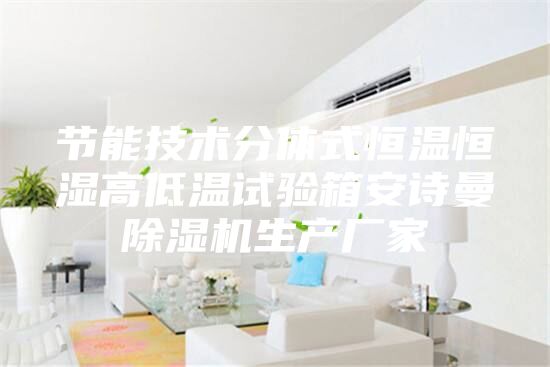 節(jié)能技術(shù)分體式恒溫恒濕高低溫試驗(yàn)箱安詩曼除濕機(jī)生產(chǎn)廠家